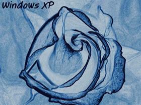 Bluezy Rose