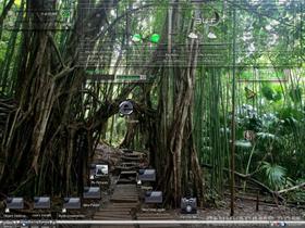 Trail to Peace and Happiness