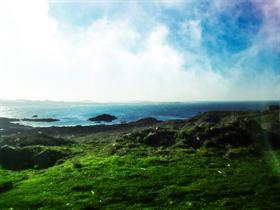 Guernsey