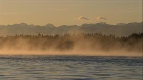 Foggy River