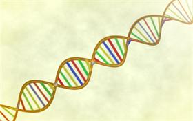 Color DNA