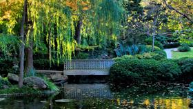 Garden Of Autumn Delights
