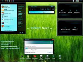 windows fusion