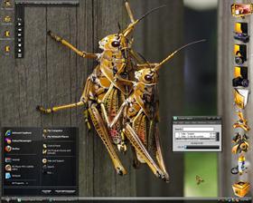 Mutant Insects