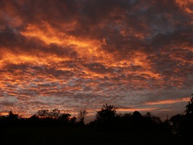 Farm Sunset