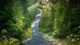 Hidden_Forest_Stream