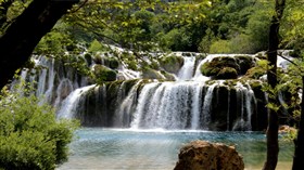 Secluded Forest Falls
