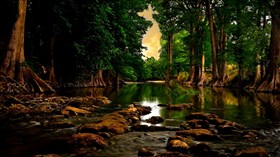 Golden_Redwood_Creek