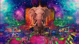Psychedelic_Elephant