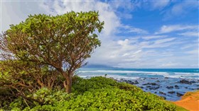 Gorgeous Maui Windy Day