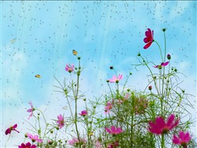 Spring_Blooms