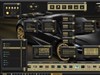 Black and Gold