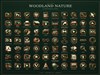 Woodland Nature Icon Set