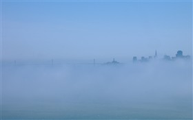 A Misty Day