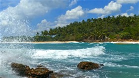 Tropical Island Waves