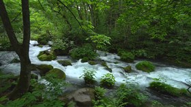River Greens