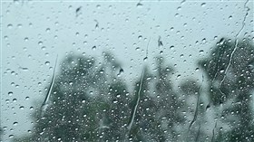 Screen Rain SR1