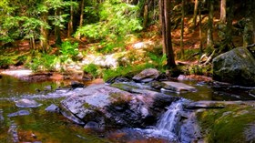 River Greens