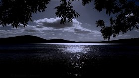 Dark Lake