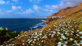 4K Spring Beach