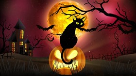 4K Halloween Kat