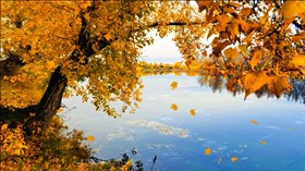 Autumn River