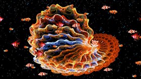 Azzzz Aquarium