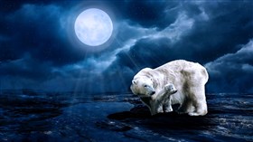 Polar Bear Moon