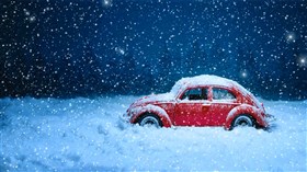 Bug Stuck In Snow
