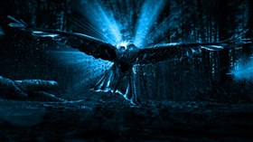 Bird of Prey HD