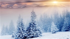 Beautiful Winter 