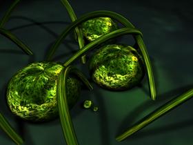 Greenslimefx