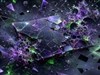 Broken Screen