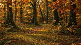 Autumn