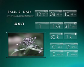 SSN