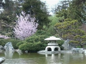 water garden