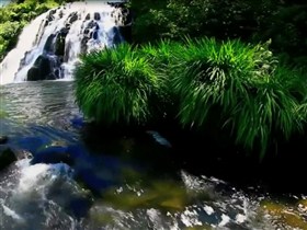 Owharoa falls