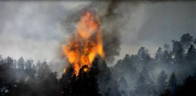 Forestfire