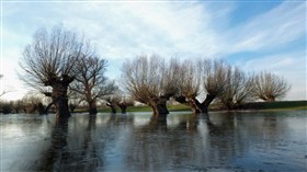 Highwater Winter