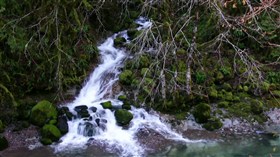 Fern Creek Falls