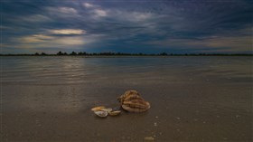 il silenzio