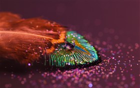 Featherlight_wall