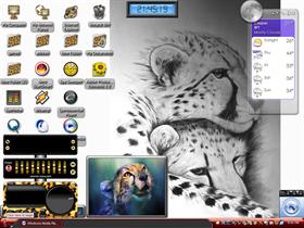 cats 5
