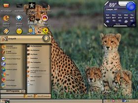 cheetahs family say cheese