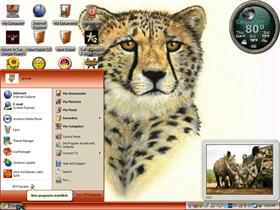 cheetah 4