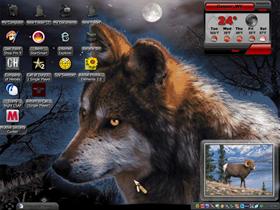 wolf in  Paradise