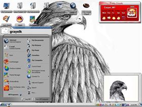 redtail hawk 3
