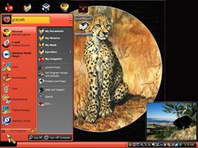 cheetah 99