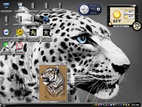 tiger77