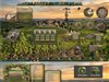 Vineyard